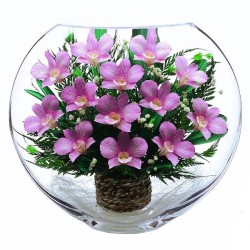 орхидеи в стекле 14_01