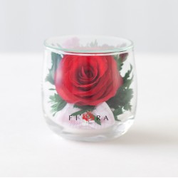 красная мини роза в стекле