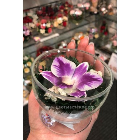 орхидея в стекле 05_01