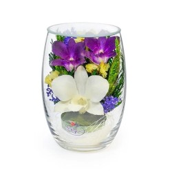 орхидеи в стекле 03_12