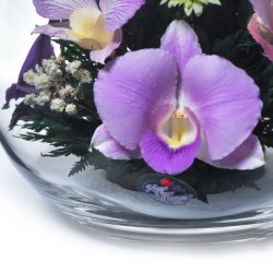 орхидеи в стекле 02_00