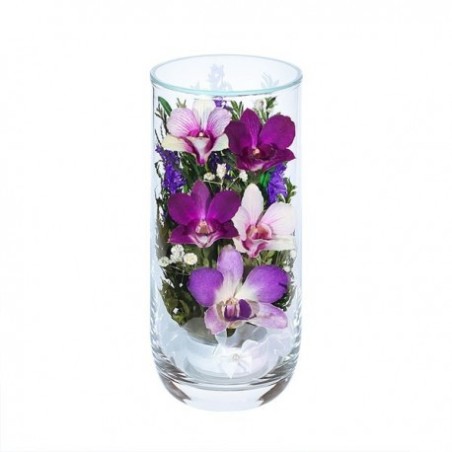 орхидеи в стекле 12_10