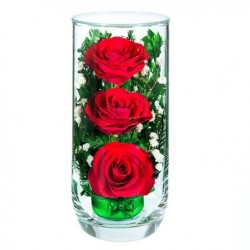 розы в стекле 12_11