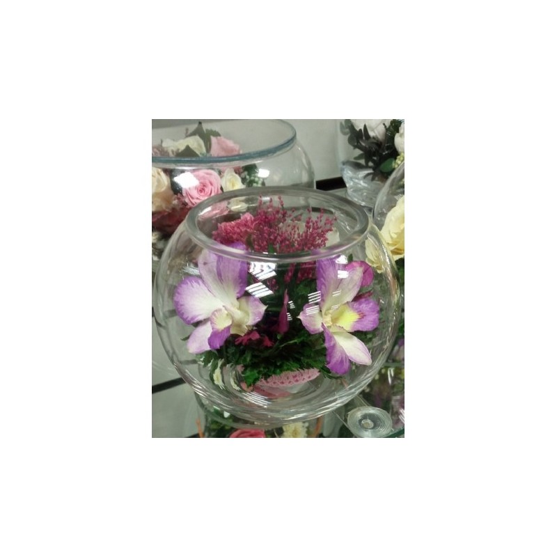 орхидеи в стекле 03_20
