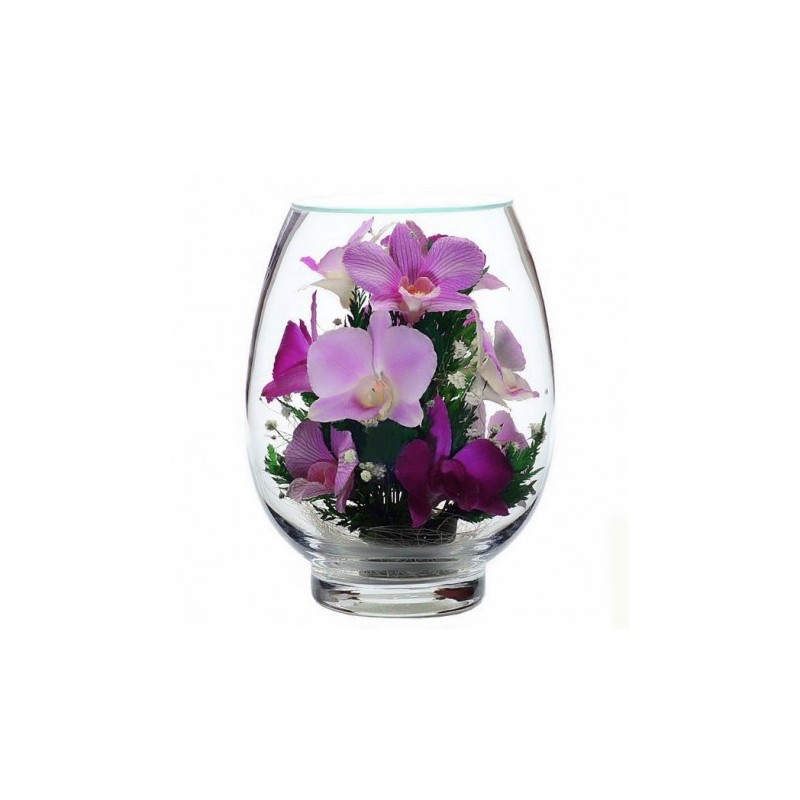 орхидеи в стекле 10_00
