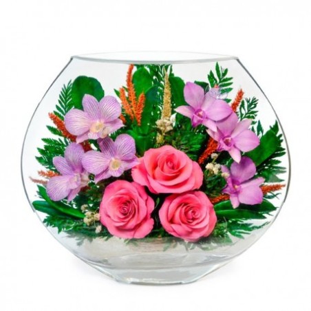 розы и орхидеи в стекле 20_03