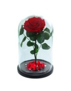 Натуральные Розы в стеклянных колбах и герметичных вазах.