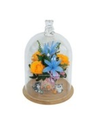 Натуральные цветы в стеклянных колбах и герметичных вазах.